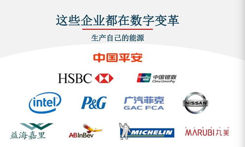 對標Adobe，Nequal如何以數據與技術雙引擎賦能企業智慧商業